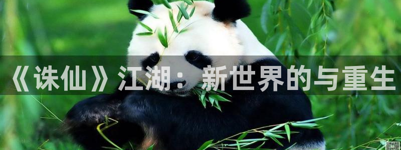 虫虫漫画在线观看网站